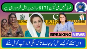 Benazir Payment Not Received But Showing on Portal? Here’s the Fix