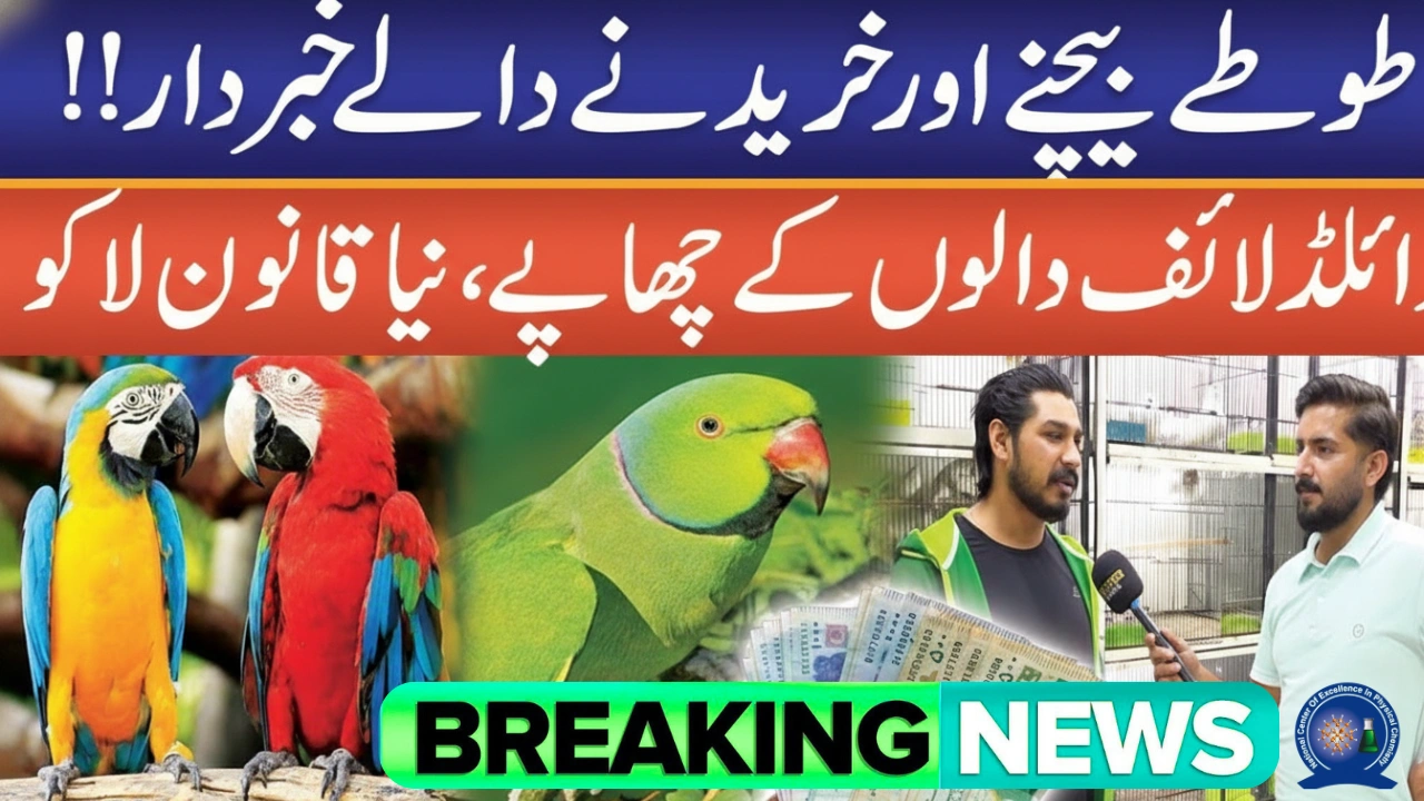 Parrot Sellers Beware! Wildlife Dept Launches Major Crackdown Under New Law