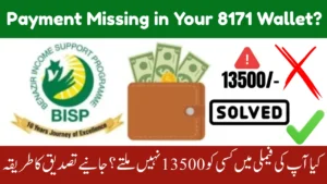 Payment Missing in Your 8171 Wallet? Quick Fixes & Full Troubleshooting Guide 2025
